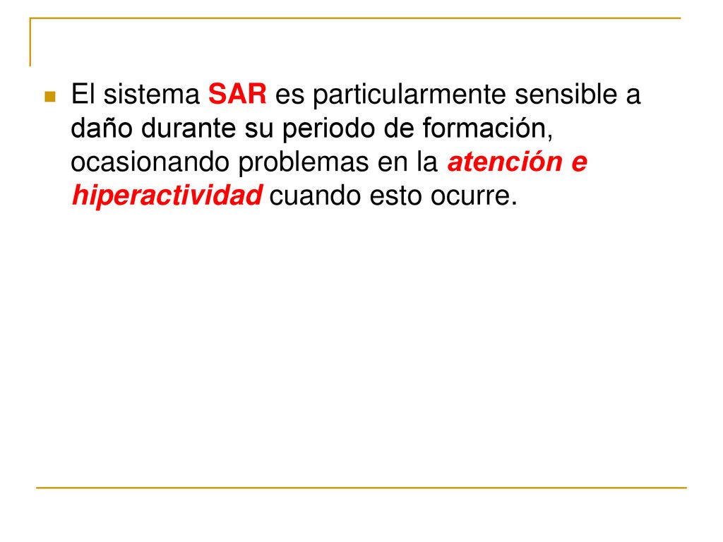 El sistema SAR es particularmente sensible a daño durante su periodo de formación, ocasionando problemas en la atención e hiperactividad cuando esto ocurre.