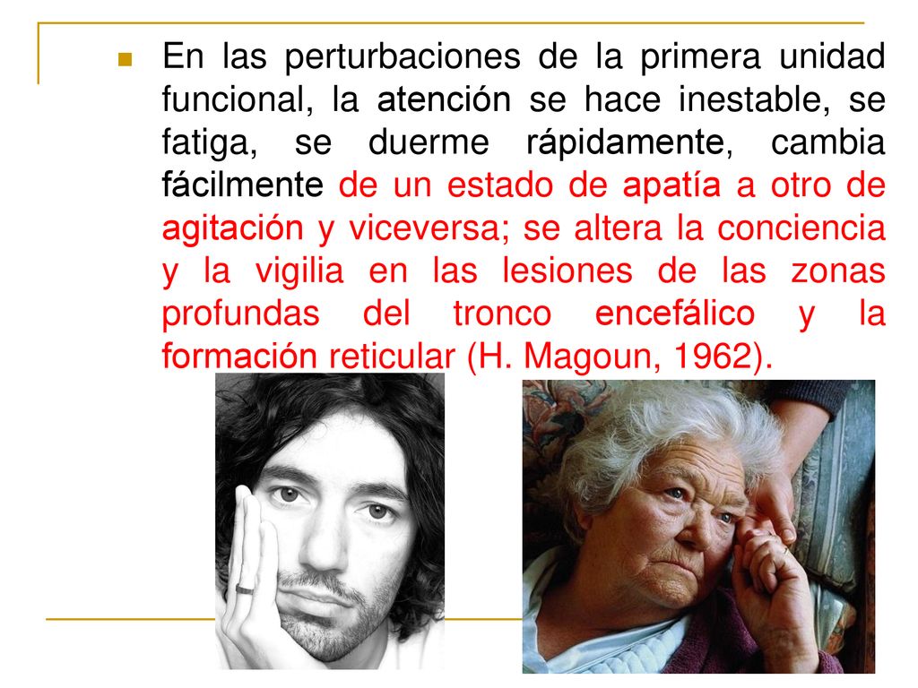 En las perturbaciones de la primera unidad funcional, la atención se hace inestable, se fatiga, se duerme rápidamente, cambia fácilmente de un estado de apatía a otro de agitación y viceversa; se altera la conciencia y la vigilia en las lesiones de las zonas profundas del tronco encefálico y la formación reticular (H.
