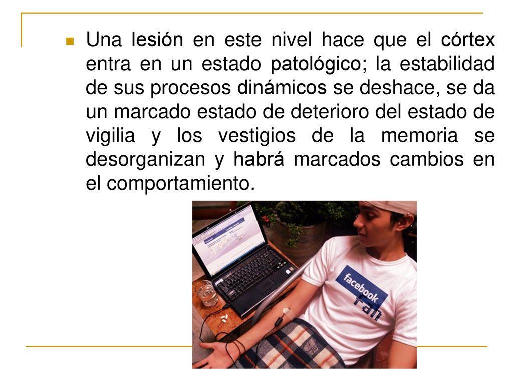 Una lesión en este nivel hace que el córtex entra en un estado patológico; la estabilidad de sus procesos dinámicos se deshace, se da un marcado estado de deterioro del estado de vigilia y los vestigios de la memoria se desorganizan y habrá marcados cambios en el comportamiento.