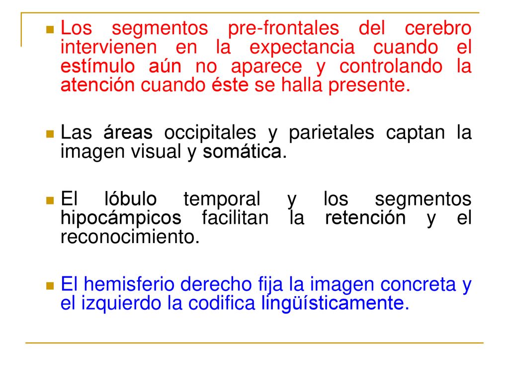 Los segmentos pre-frontales del cerebro intervienen en la expectancia cuando el estímulo aún no aparece y controlando la atención cuando éste se halla presente.
