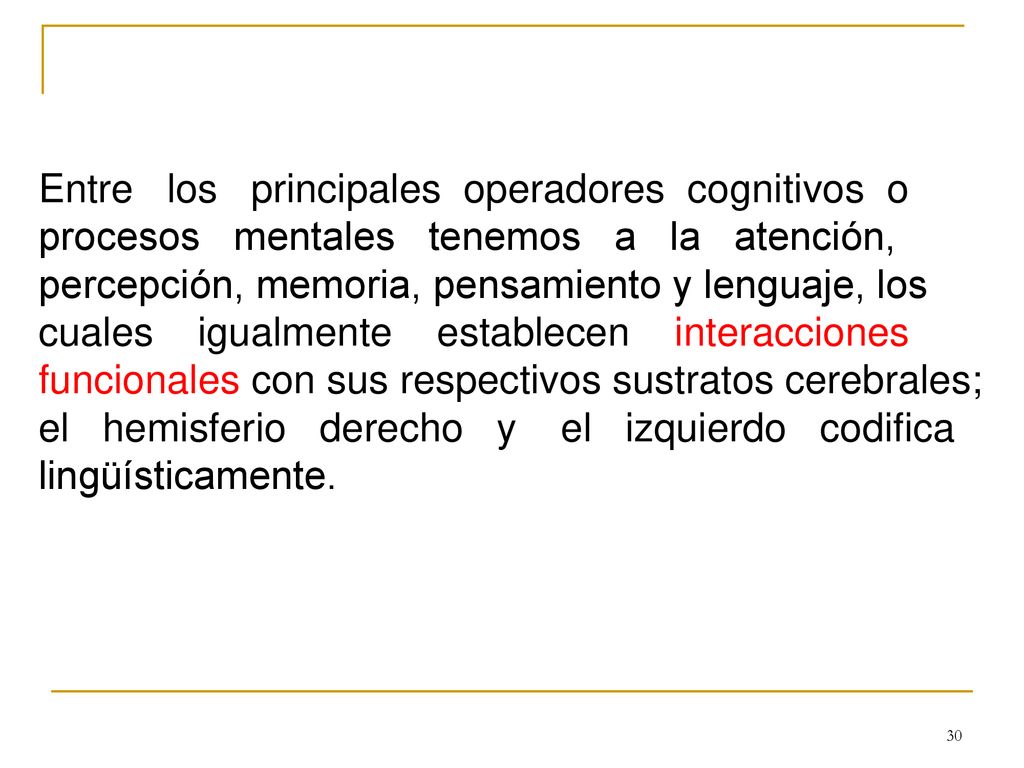 Entre los principales operadores cognitivos o procesos mentales tenemos a la atención, percepción, memoria, pensamiento y lenguaje, los cuales igualmente establecen interacciones funcionales con sus respectivos sustratos cerebrales; el hemisferio derecho y el izquierdo codifica lingüísticamente.