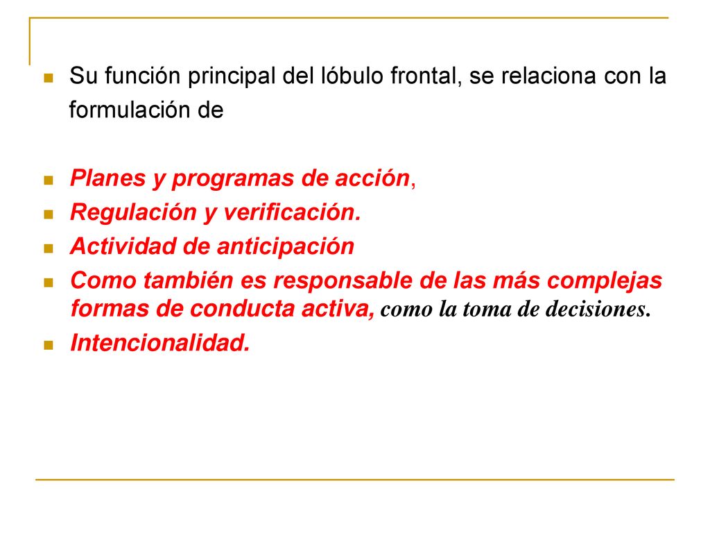Su función principal del lóbulo frontal, se relaciona con la