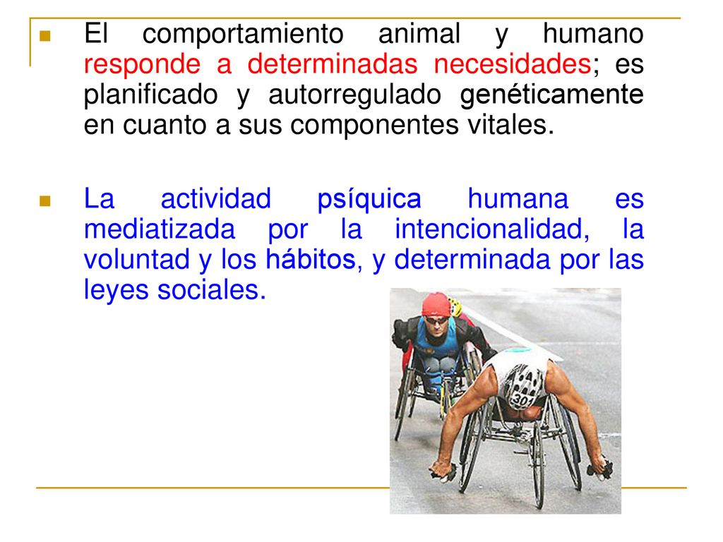 El comportamiento animal y humano responde a determinadas necesidades; es planificado y autorregulado genéticamente en cuanto a sus componentes vitales.