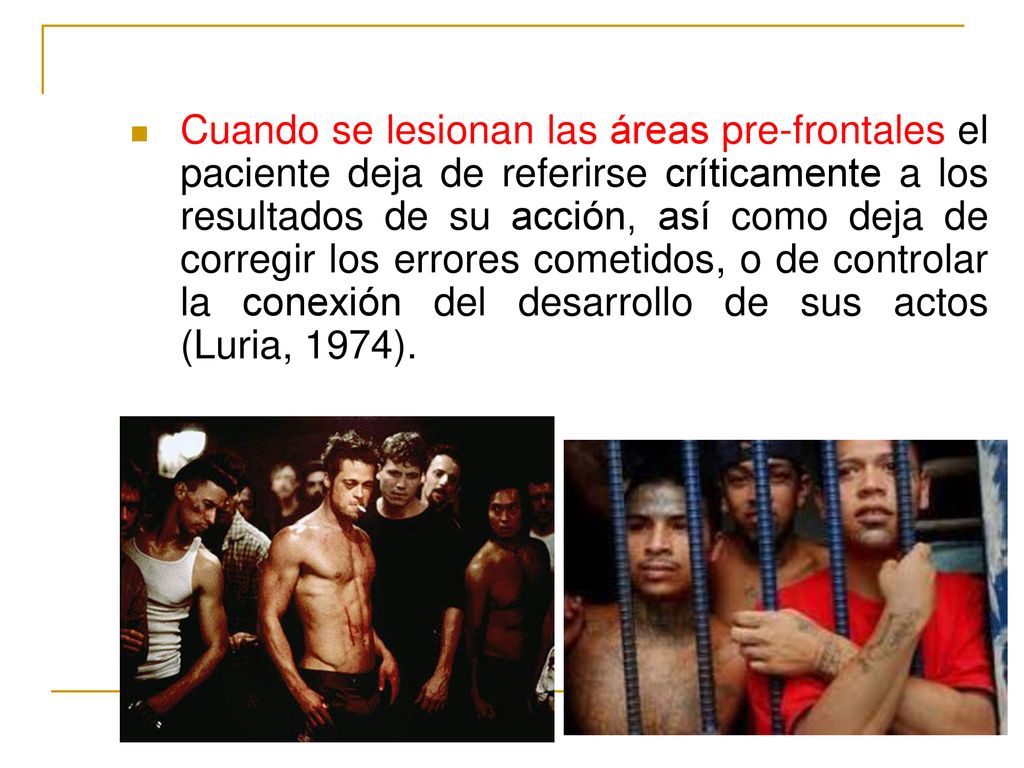 Cuando se lesionan las áreas pre-frontales el paciente deja de referirse críticamente a los resultados de su acción, así como deja de corregir los errores cometidos, o de controlar la conexión del desarrollo de sus actos (Luria, 1974).
