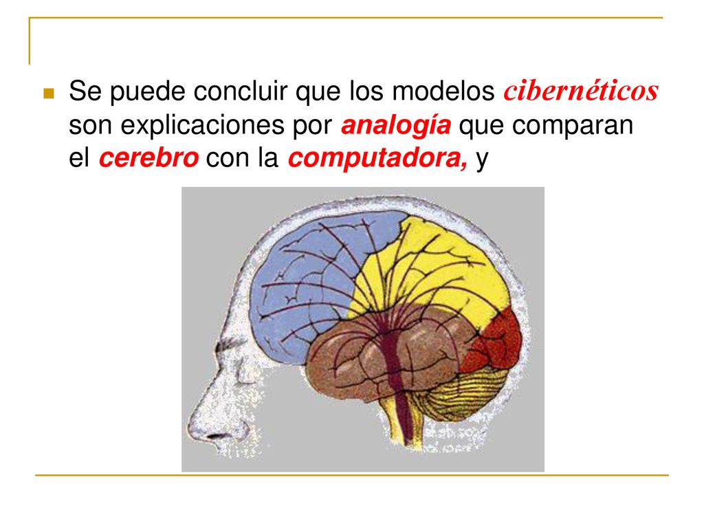 Se puede concluir que los modelos cibernéticos son explicaciones por analogía que comparan el cerebro con la computadora, y