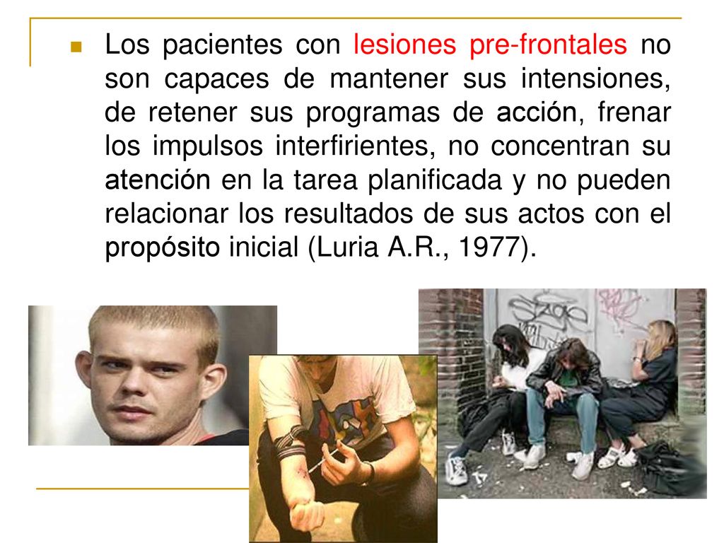 Los pacientes con lesiones pre-frontales no son capaces de mantener sus intensiones, de retener sus programas de acción, frenar los impulsos interfirientes, no concentran su atención en la tarea planificada y no pueden relacionar los resultados de sus actos con el propósito inicial (Luria A.R., 1977).