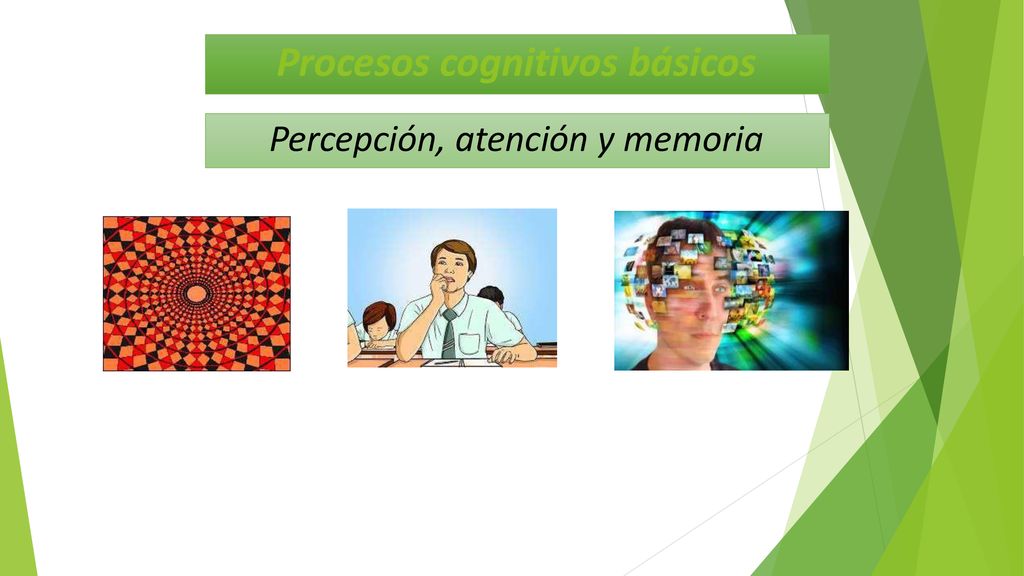 Procesos Cognitivos Básicos - Ppt Descargar