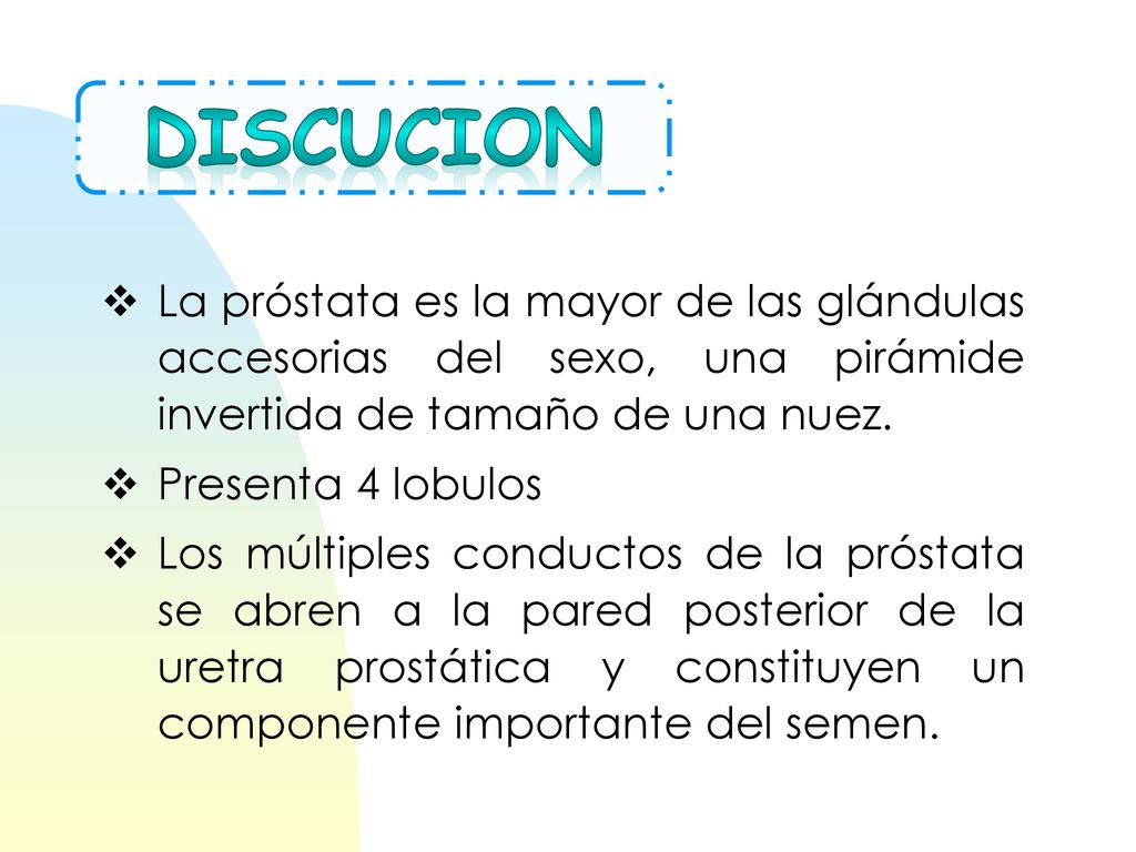 DISCUCION La próstata es la mayor de las glándulas accesorias del sexo, una pirámide invertida de tamaño de una nuez.