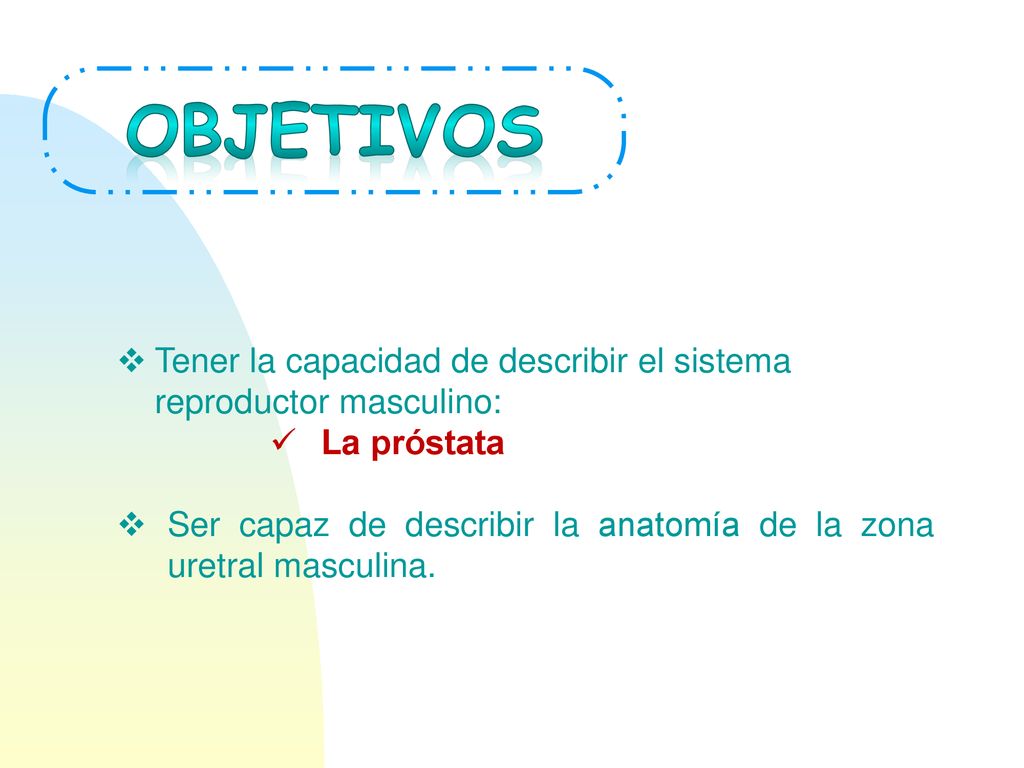 OBJETIVOS Tener la capacidad de describir el sistema reproductor masculino: La próstata.
