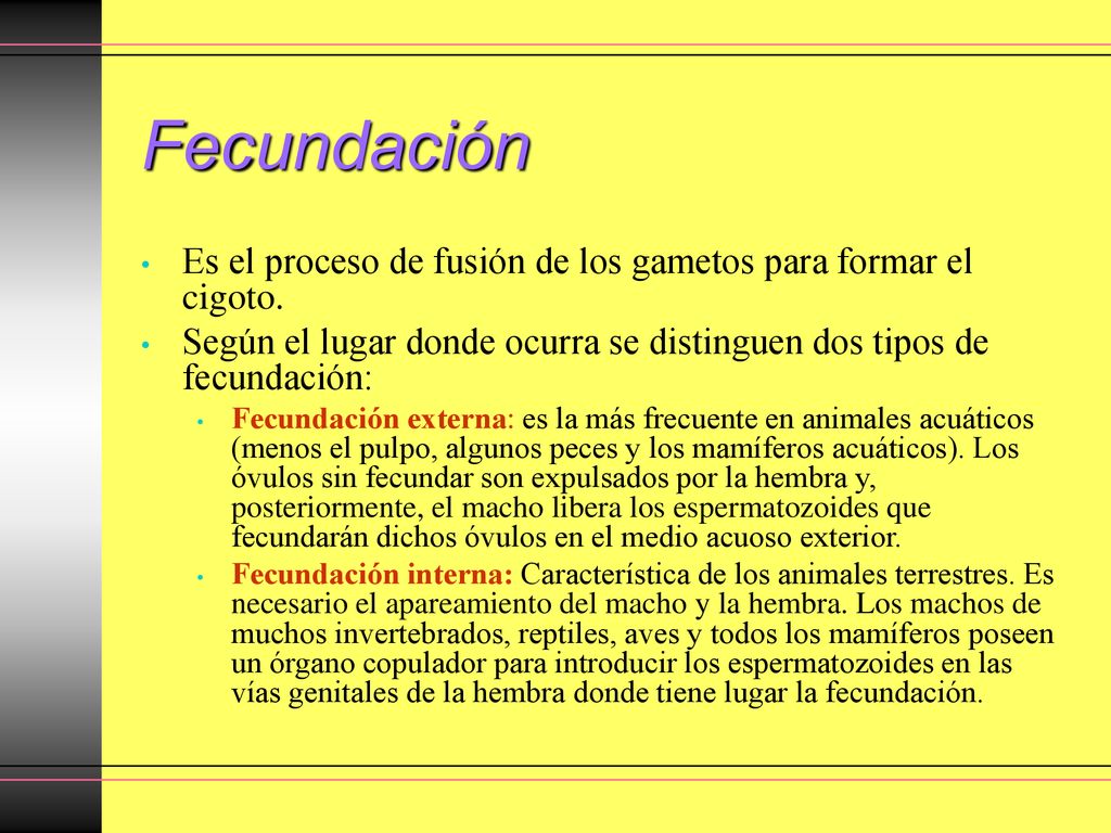 Fecundación Es el proceso de fusión de los gametos para formar el cigoto. Según el lugar donde ocurra se distinguen dos tipos de fecundación: