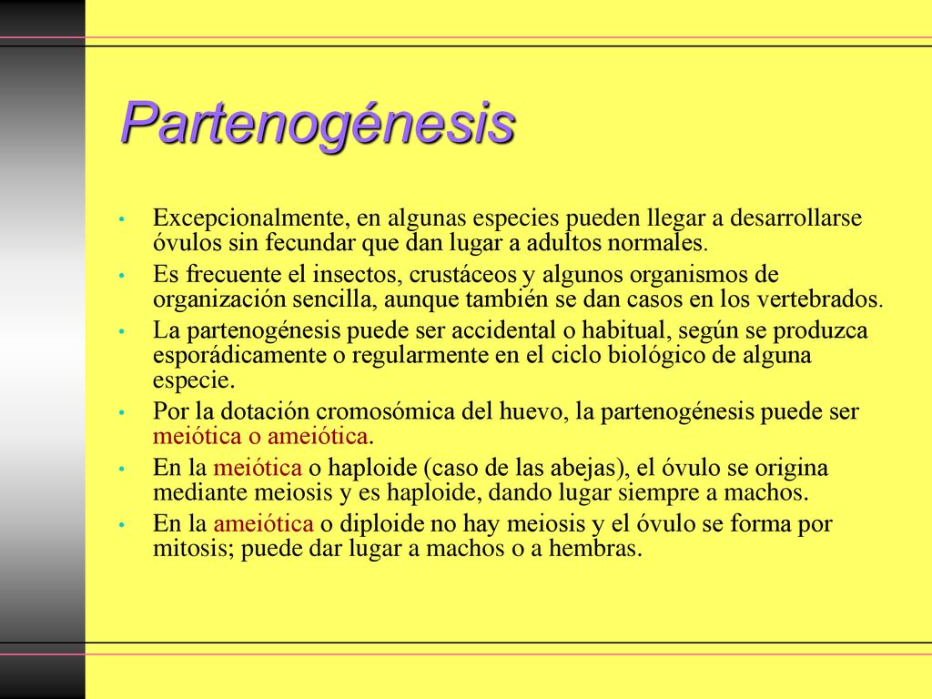Partenogénesis Excepcionalmente, en algunas especies pueden llegar a desarrollarse óvulos sin fecundar que dan lugar a adultos normales.