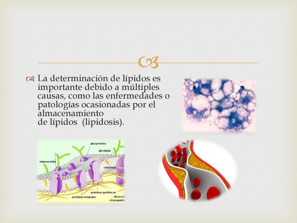 La determinación de lípidos es importante debido a múltiples causas, como las enfermedades o patologías ocasionadas por el almacenamiento de lípidos (lipidosis).