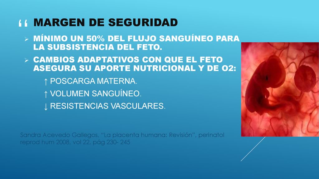 MARGEN DE SEGURIDAD Mínimo un 50% del flujo sanguíneo para la subsistencia del feto.