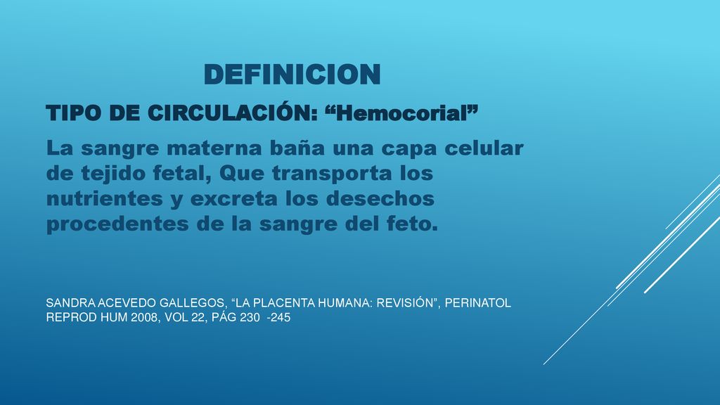 DEFINICION TIPO DE CIRCULACIÓN: Hemocorial