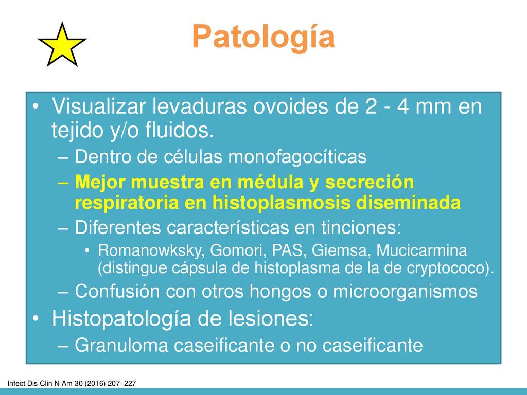 Patología Visualizar levaduras ovoides de mm en tejido y/o fluidos. Dentro de células monofagocíticas.