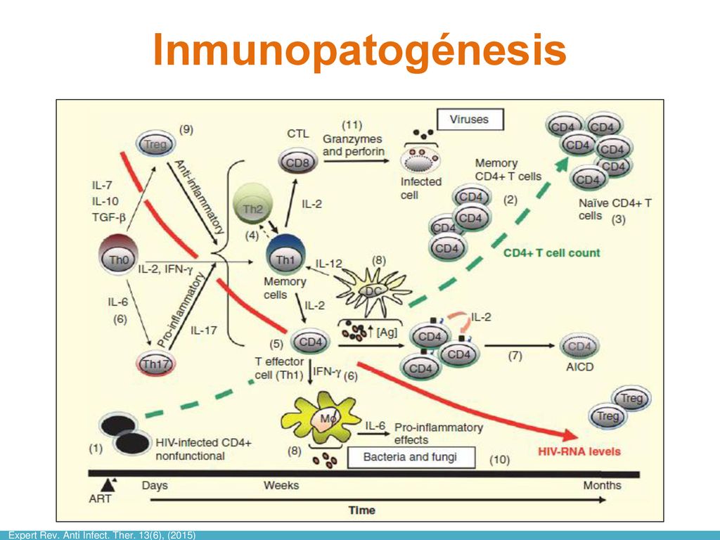 Inmunopatogénesis Figure 1. Classical model of immunopathogenesis of IRIS. Before initiation of combined antiretroviral treatment (cART), immune.