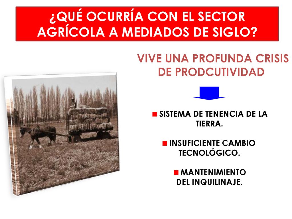 ¿QUÉ OCURRÍA CON EL SECTOR AGRÍCOLA A MEDIADOS DE SIGLO