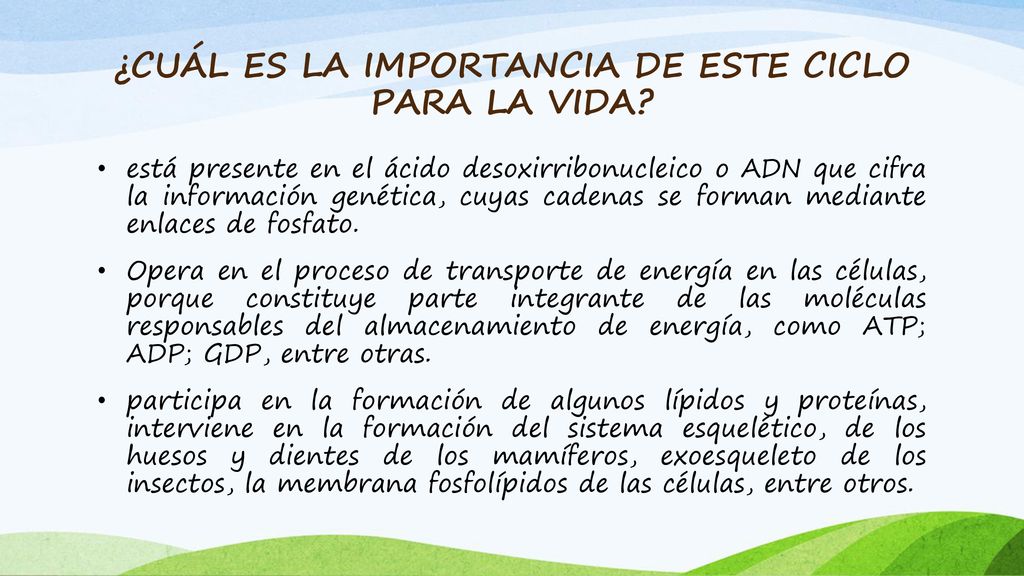 ¿CUÁL ES LA IMPORTANCIA DE ESTE CICLO PARA LA VIDA