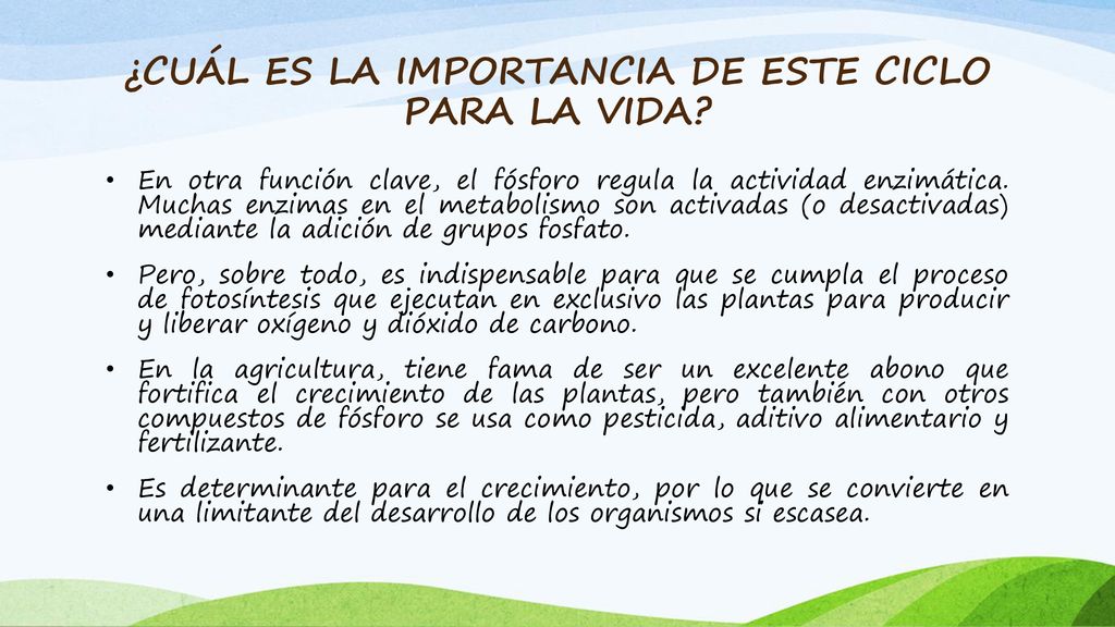 ¿CUÁL ES LA IMPORTANCIA DE ESTE CICLO PARA LA VIDA