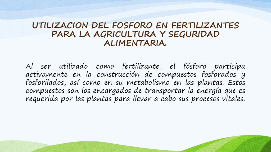 UTILIZACION DEL FOSFORO EN FERTILIZANTES PARA LA AGRICULTURA Y SEGURIDAD ALIMENTARIA.