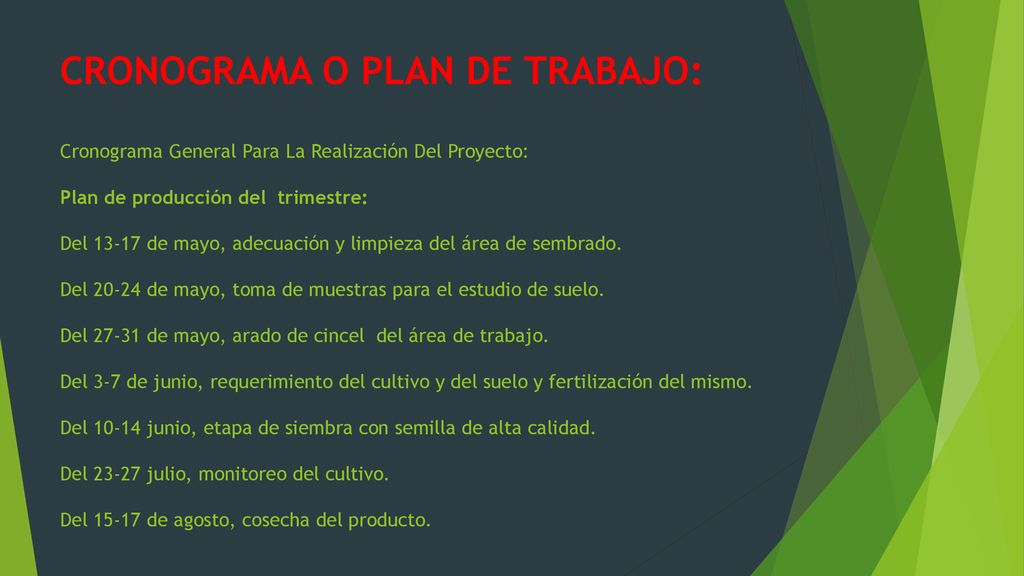 CRONOGRAMA O PLAN DE TRABAJO: Cronograma General Para La Realización Del Proyecto: Plan de producción del trimestre: Del de mayo, adecuación y limpieza del área de sembrado.