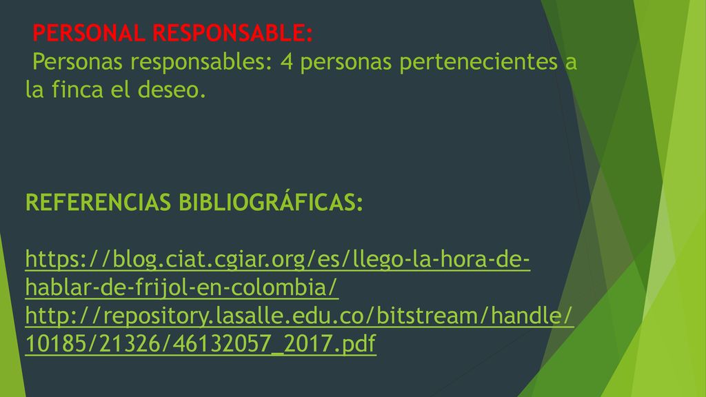 PERSONAL RESPONSABLE: Personas responsables: 4 personas pertenecientes a la finca el deseo.