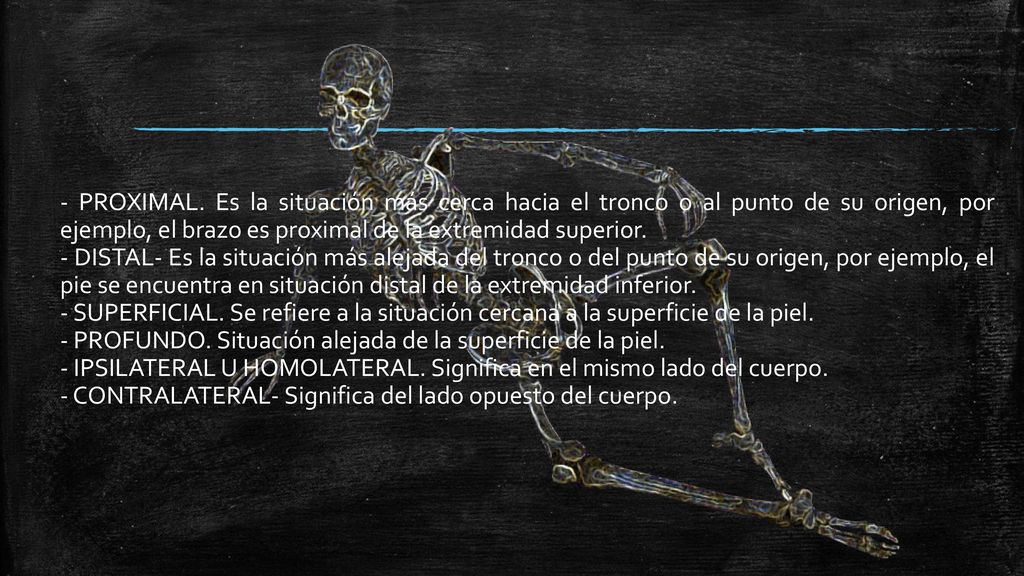 - PROXIMAL. Es la situación más cerca hacia el tronco o al punto de su origen, por ejemplo, el brazo es proximal de la extremidad superior.