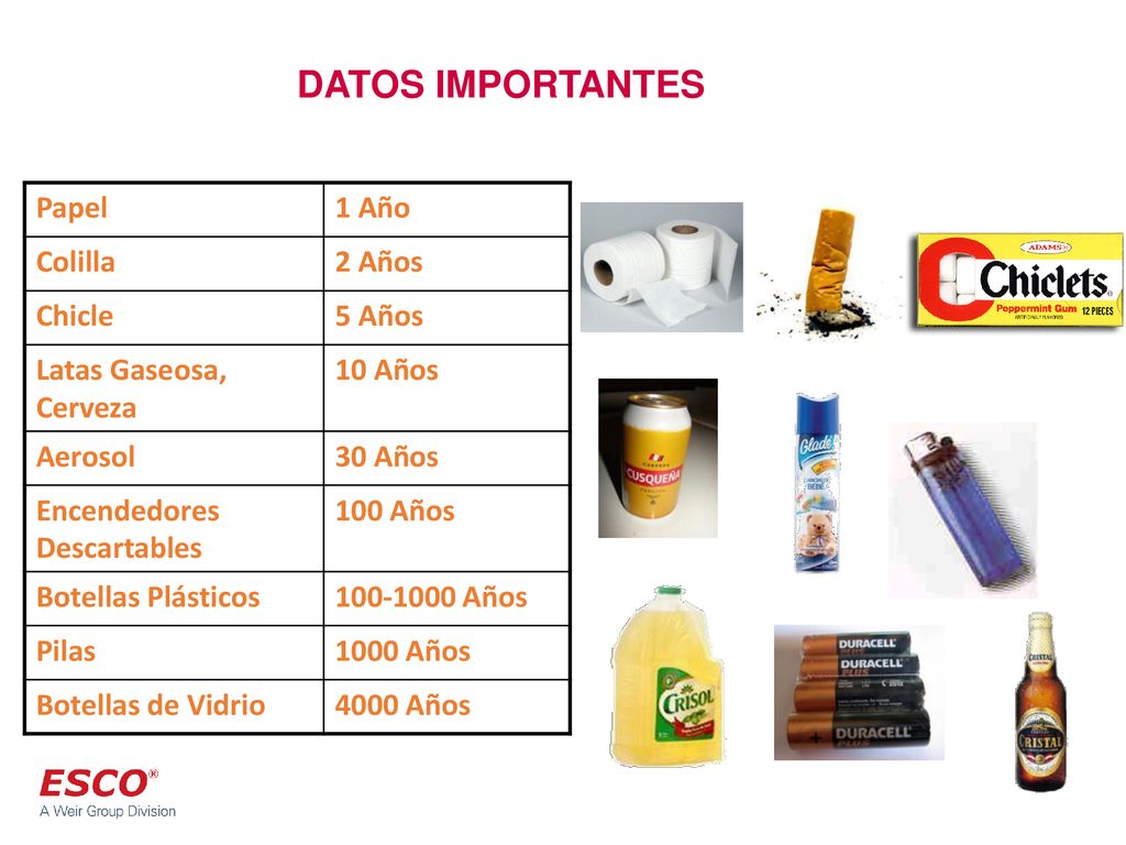 DATOS IMPORTANTES Papel 1 Año Colilla 2 Años Chicle 5 Años