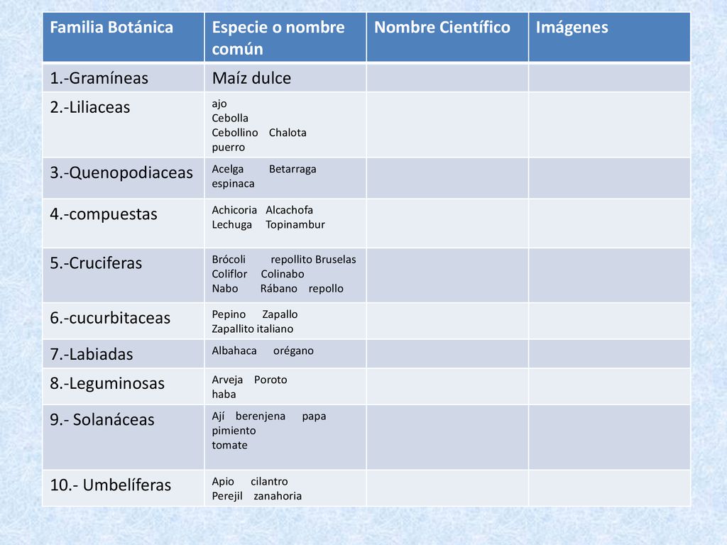 CONTENIDO GENERALIDADES DE LOS CULTIVOS HORTICOLAS - Ppt Descargar