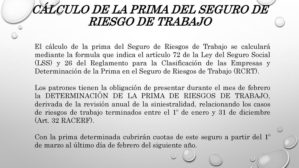 CÁLCULO DE LA PRIMA DEL SEGURO DE RIESGO DE TRABAJO