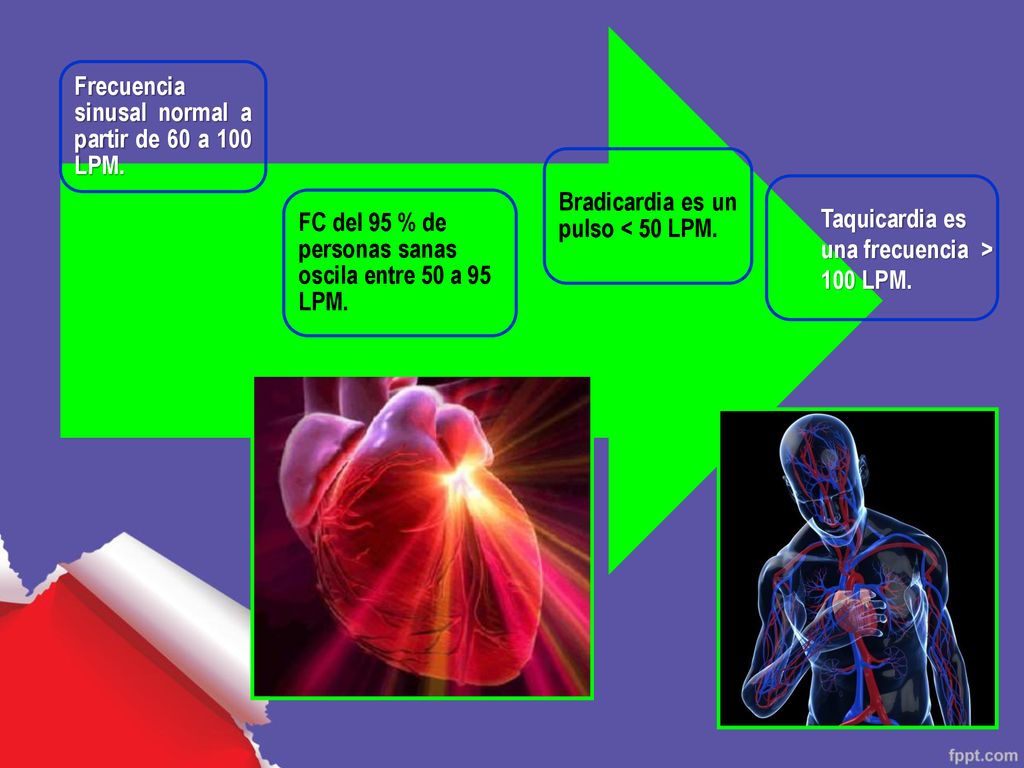 Frecuencia sinusal normal a partir de 60 a 100 LPM.