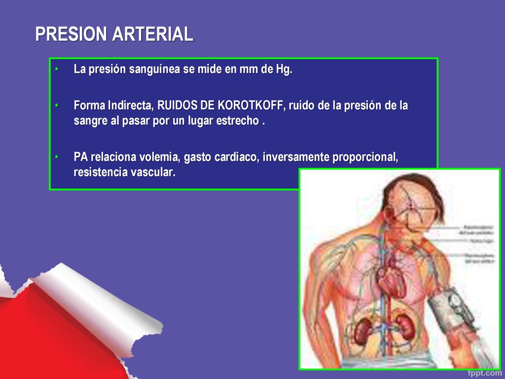 PRESION ARTERIAL La presión sanguínea se mide en mm de Hg.