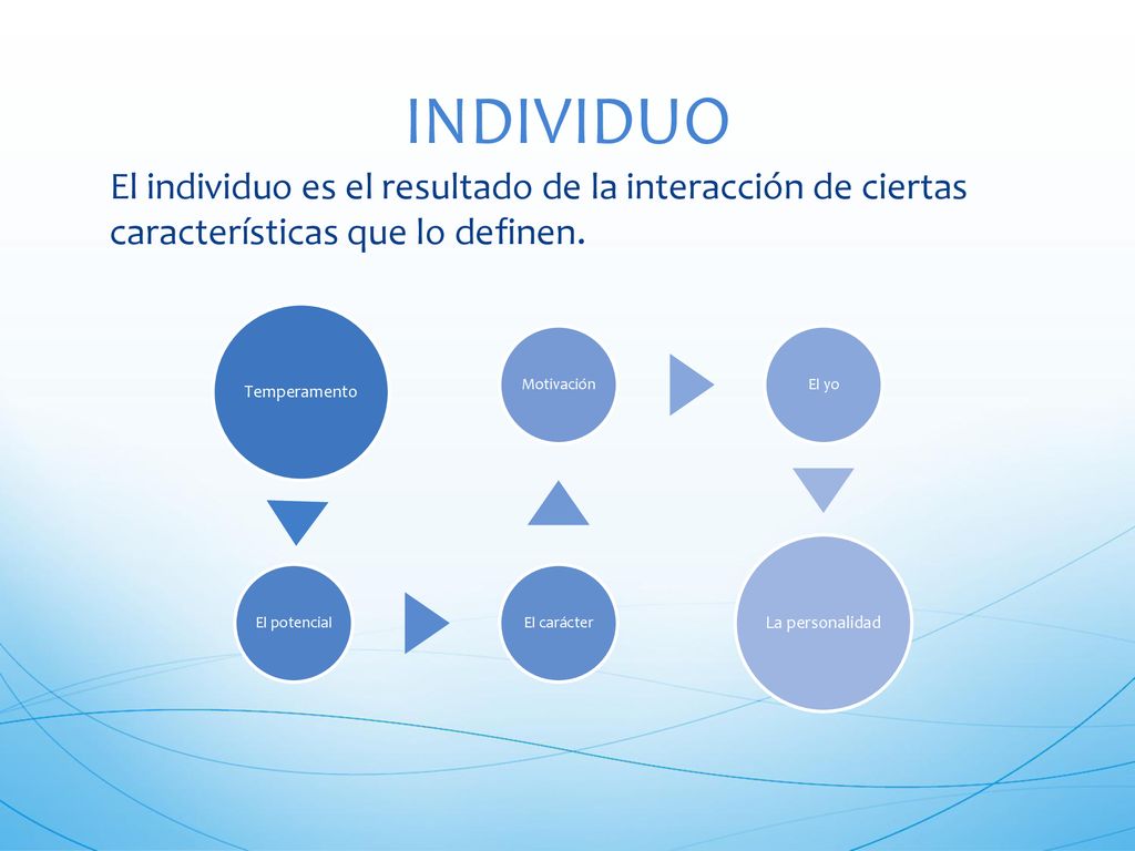 INDIVIDUO El individuo es el resultado de la interacción de ciertas características que lo definen.