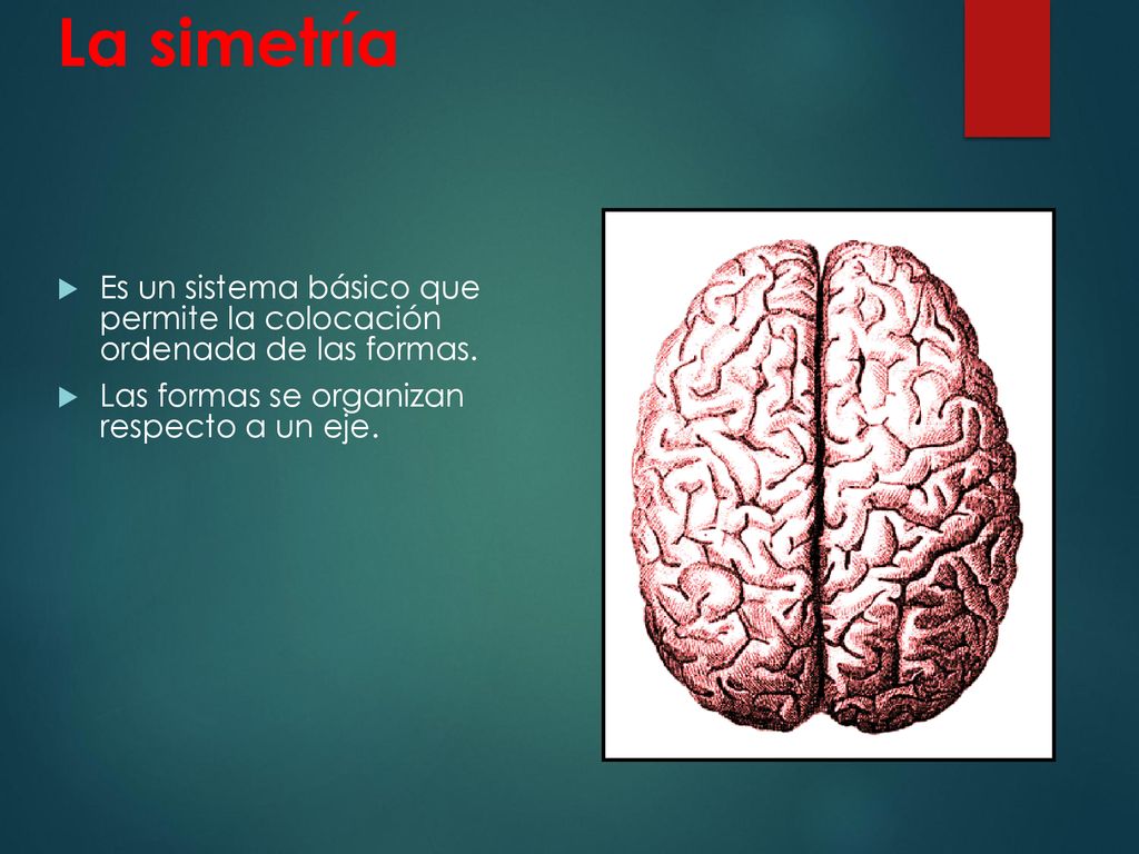 La simetría Es un sistema básico que permite la colocación ordenada de las formas. Las formas se organizan respecto a un eje.