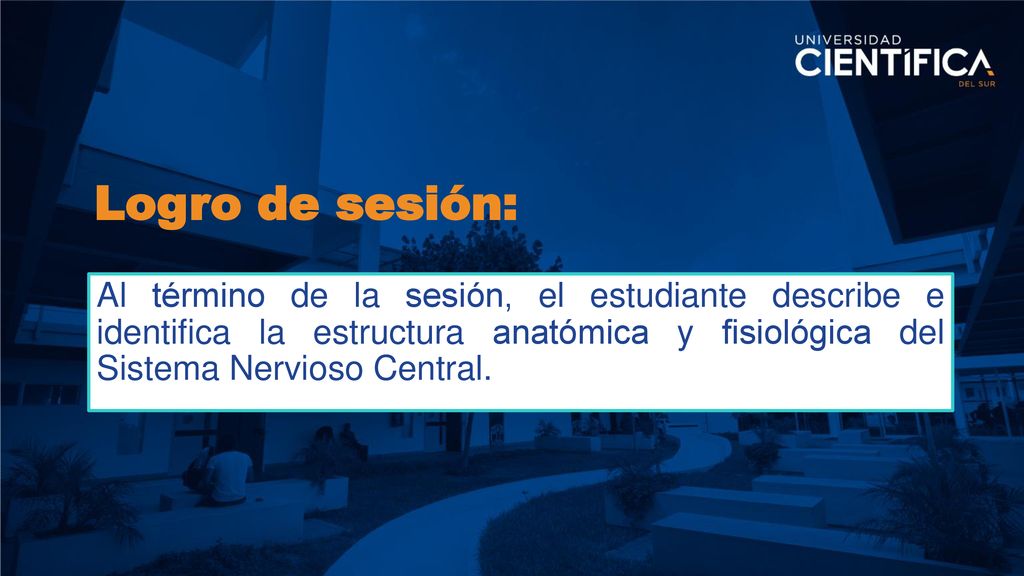 Logro de sesión: Al término de la sesión, el estudiante describe e identifica la estructura anatómica y fisiológica del Sistema Nervioso Central.