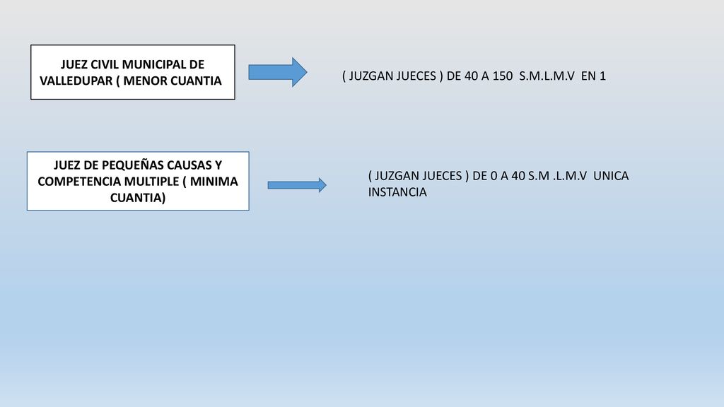 JUEZ DE PEQUEÑAS CAUSAS Y COMPETENCIA MULTIPLE ( MINIMA CUANTIA)