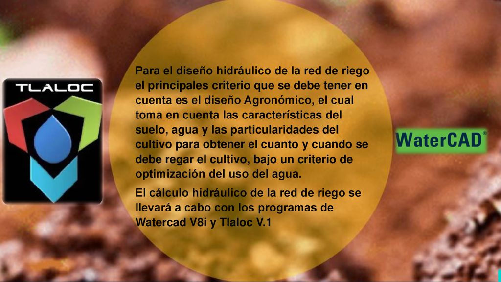 Para el diseño hidráulico de la red de riego el principales criterio que se debe tener en cuenta es el diseño Agronómico, el cual toma en cuenta las características del suelo, agua y las particularidades del cultivo para obtener el cuanto y cuando se debe regar el cultivo, bajo un criterio de optimización del uso del agua.