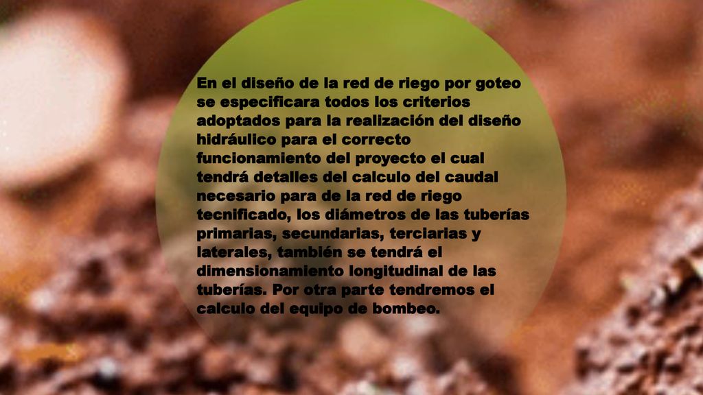 En el diseño de la red de riego por goteo se especificara todos los criterios adoptados para la realización del diseño hidráulico para el correcto funcionamiento del proyecto el cual tendrá detalles del calculo del caudal necesario para de la red de riego tecnificado, los diámetros de las tuberías primarias, secundarias, terciarias y laterales, también se tendrá el dimensionamiento longitudinal de las tuberías.