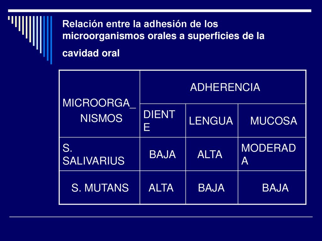 MICROORGA_ NISMOS ADHERENCIA DIENTE LENGUA MUCOSA S. SALIVARIUS BAJA