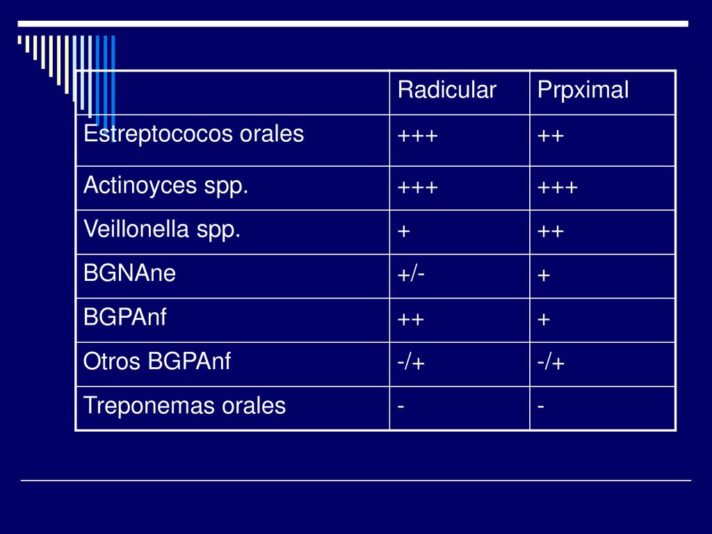 Radicular Prpximal. Estreptococos orales Actinoyces spp. Veillonella spp. + BGNAne. +/-