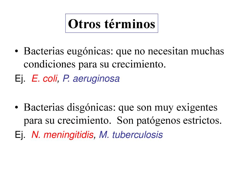 Otros términos Bacterias eugónicas: que no necesitan muchas condiciones para su crecimiento. Ej. E. coli, P. aeruginosa.