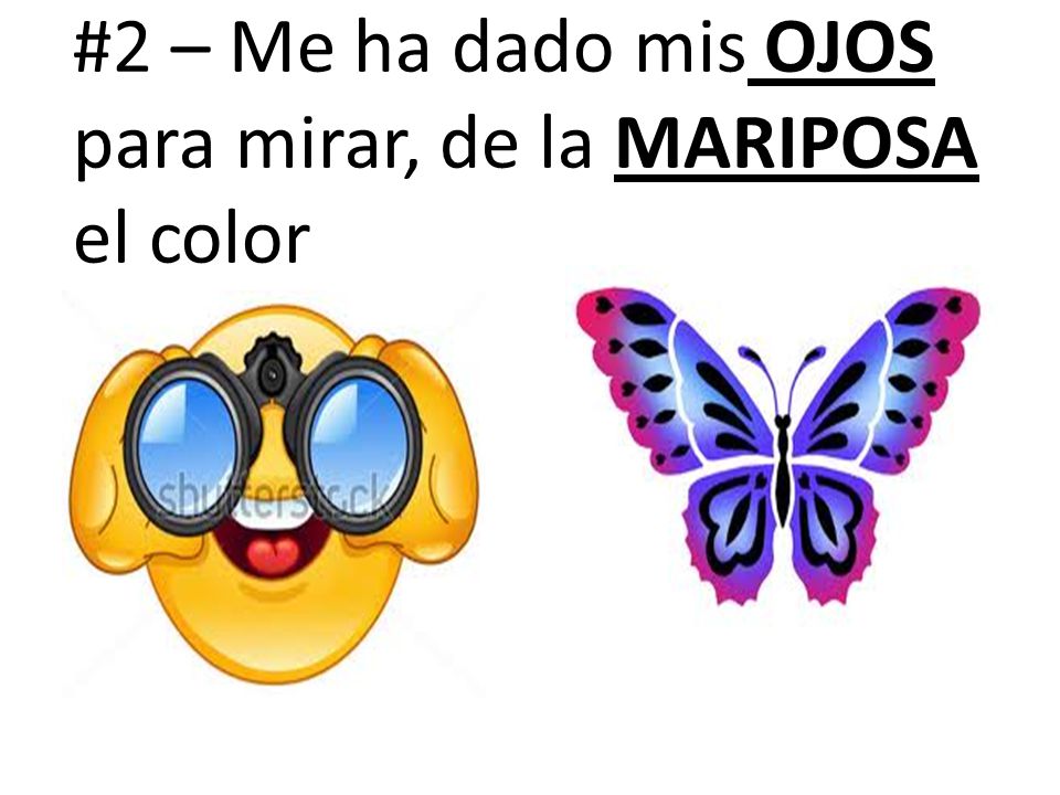 #2 – Me ha dado mis ojos para mirar, de la mariposa el color
