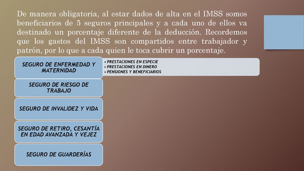 De manera obligatoria, al estar dados de alta en el IMSS somos beneficiarios de 5 seguros principales y a cada uno de ellos va destinado un porcentaje diferente de la deducción. Recordemos que los gastos del IMSS son compartidos entre trabajador y patrón, por lo que a cada quien le toca cubrir un porcentaje.