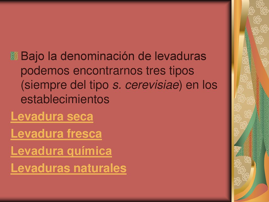 Bajo la denominación de levaduras podemos encontrarnos tres tipos (siempre del tipo s. cerevisiae) en los establecimientos