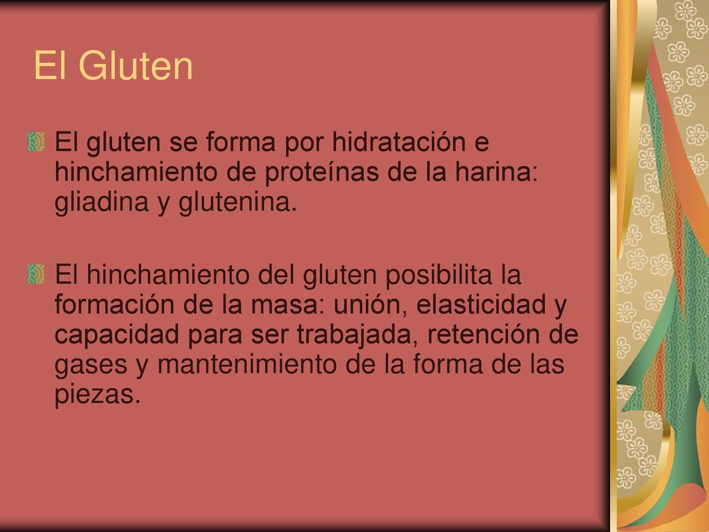 El Gluten El gluten se forma por hidratación e hinchamiento de proteínas de la harina: gliadina y glutenina.
