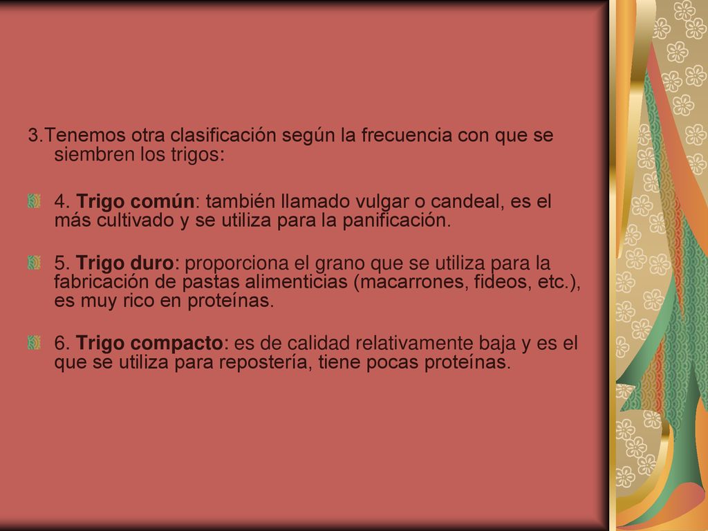 3.Tenemos otra clasificación según la frecuencia con que se siembren los trigos: