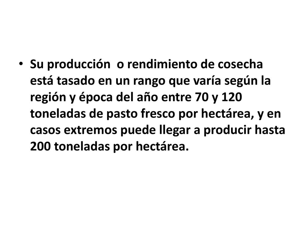 Su producción o rendimiento de cosecha está tasado en un rango que varía según la región y época del año entre 70 y 120 toneladas de pasto fresco por hectárea, y en casos extremos puede llegar a producir hasta 200 toneladas por hectárea.