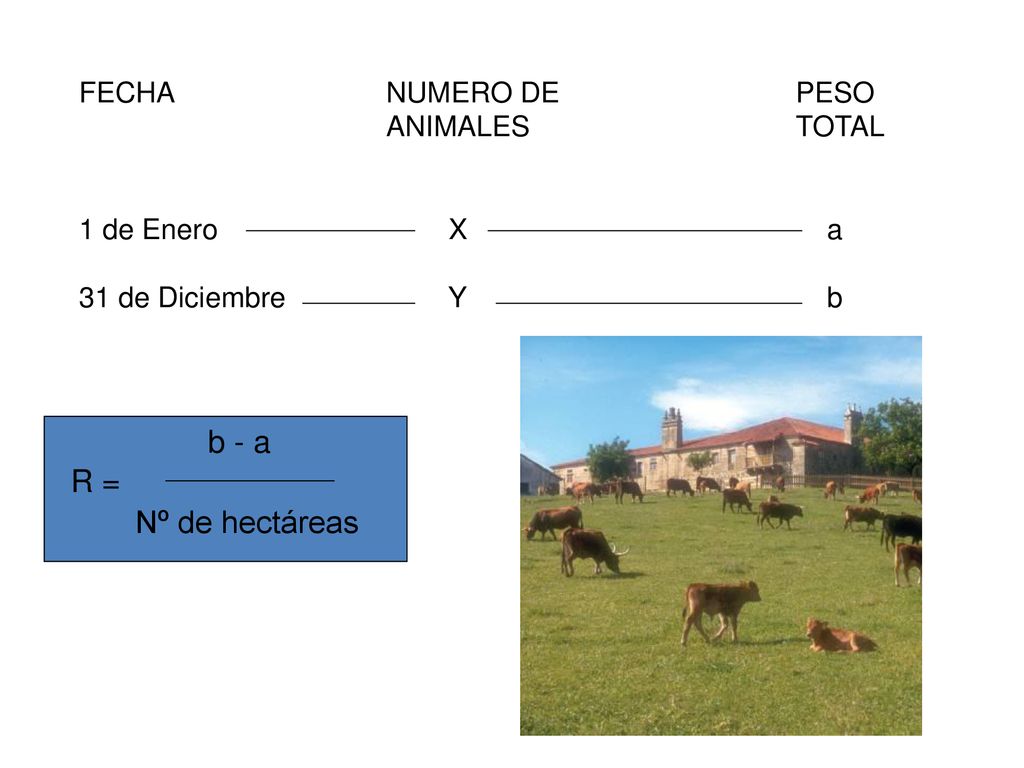 b - a R = Nº de hectáreas FECHA NUMERO DE PESO ANIMALES TOTAL