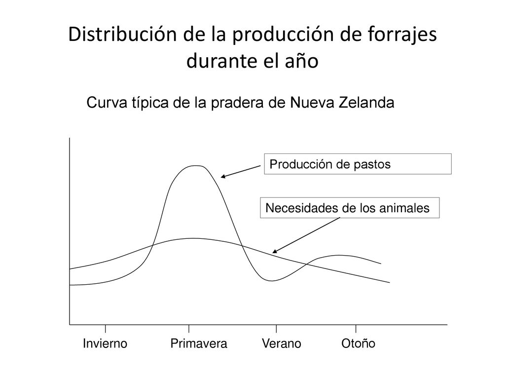 Distribución de la producción de forrajes durante el año