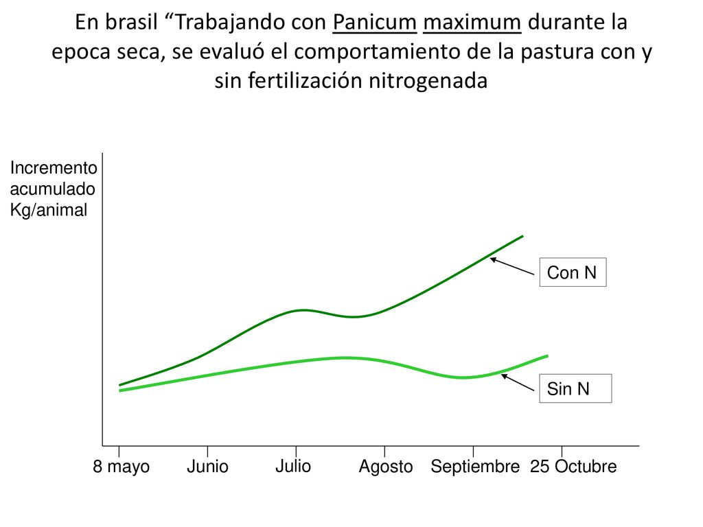 En brasil Trabajando con Panicum maximum durante la epoca seca, se evaluó el comportamiento de la pastura con y sin fertilización nitrogenada
